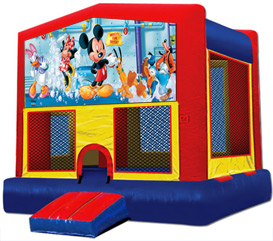 Kids Party Commercial Jumpers For Sale in Madison